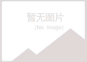 岱山县以海咨询有限公司